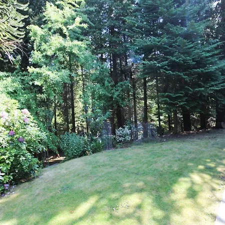 Holiday home Daweswood,
