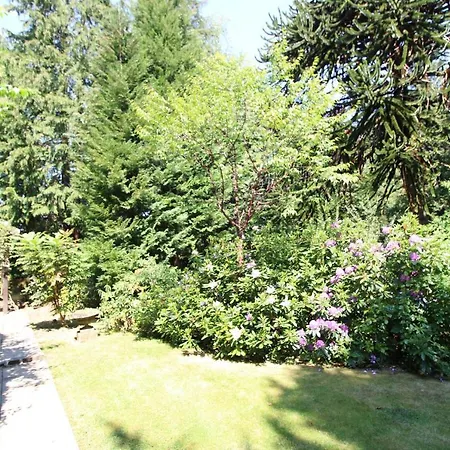 Holiday home Daweswood, *