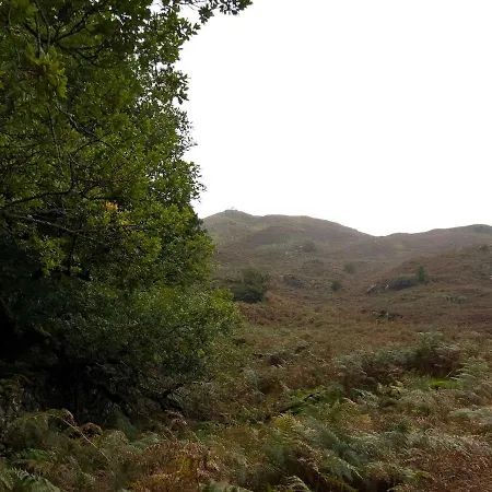 Daweswood, *