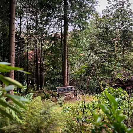 Hébergement de vacances Daweswood, *